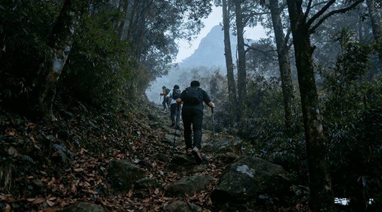 暴喵加速器体验码帮助提升游戏体验